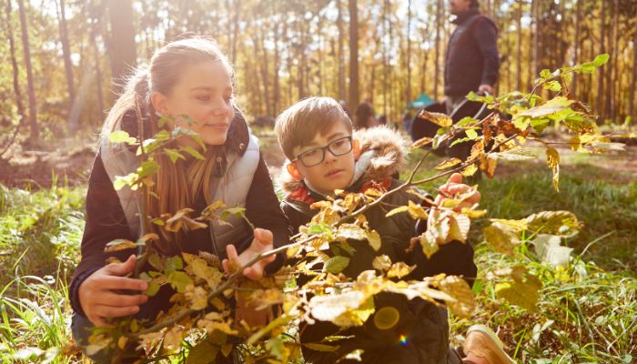 Where Should Parents Start?